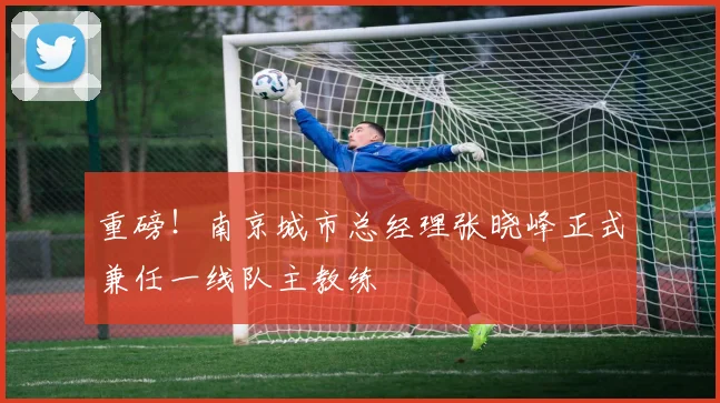 重磅！南京城市总经理张晓峰正式兼任一线队主教练